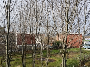 Tesisimizden Manzaralar