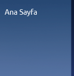 Ana Sayfa